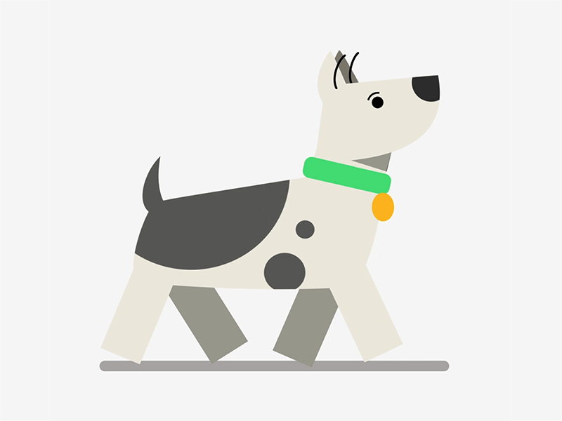 Dog Walk illustration motion graphic vector animation