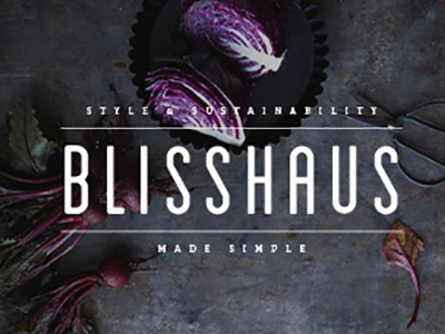 BlissHaus brand branding identity design logo typography