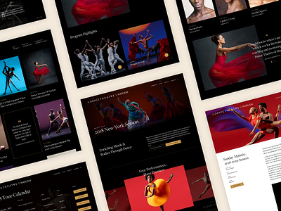Dance Theatre of Harlem Website Design agency barrel dance design design agency design system graphic design new york web website design