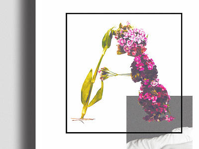 A Beautiful Homicide death experimental flowers hand made life organic photograph type typography