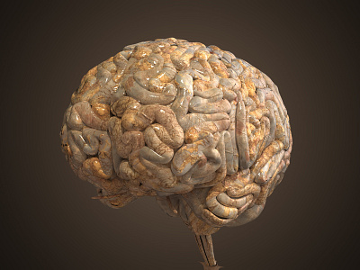 Realistic Human Brain 3d brain maya medical orgainic zbrush