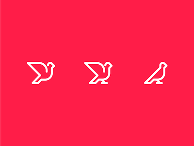 for the birds bird icons illustration illustrator line art logo vector