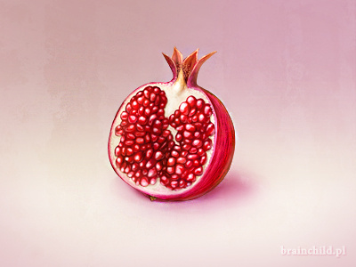 Pomegranate icon brainchild brainchild.pl concept exotic food fruit pomegranate pomegranate fruit rafal urbanski rafał urbański