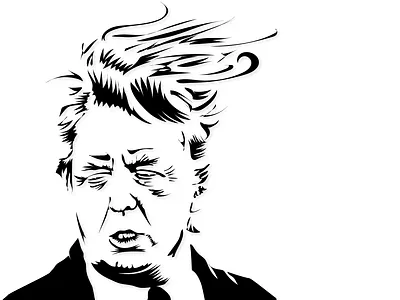 No Clue-sion hair trump vector wind