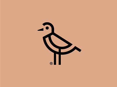 Plover bird feather kerovec logo plover rokac roko social text wing writing