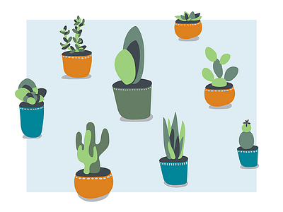 Cacti and Succulents cactus illustration plants succulent vector