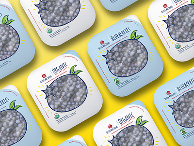 Blueberry Packaging blueberries farm food hand drawn illustration natural organic packagin