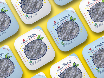 Blueberry Packaging