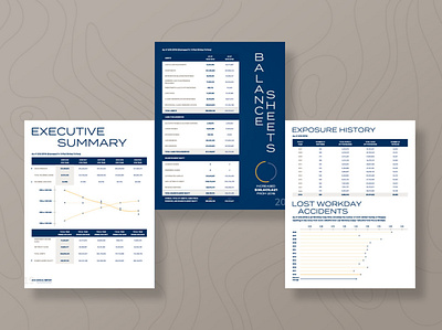 Annual Report Data annual report charts data visualization graphs print design