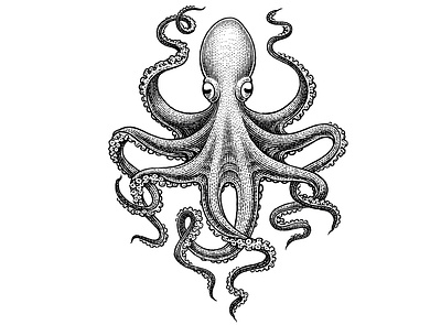 Kraken black and white engraving etching illustration logo retro scratchboard vintage