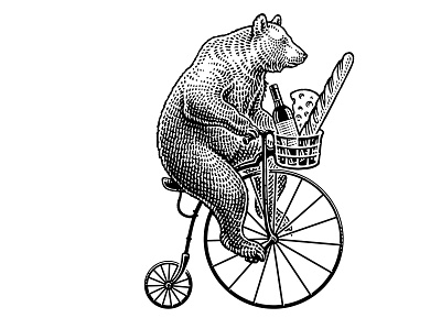 Bear for Gaetano black and white engraving etching illustration logo retro vintage