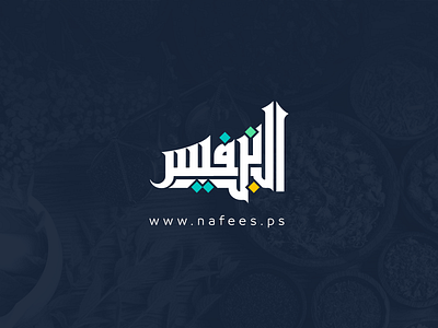Ibn Nafees Brand & website UI/UX