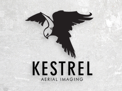Kestrel - Aerial Imaging bird brand business identity logo