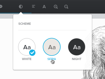 Reader Scheme blue dark grey ebook glyph navigation reader webapp