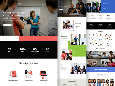 Insight Data Science website