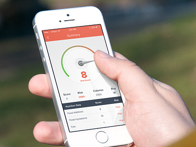 Food Sanner app design clean dashboard food app gauge red scanner