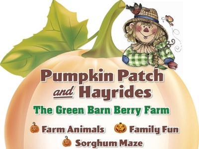 Green Barn Advertisement advertisement cute design pumpkin