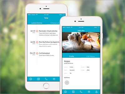 Vetly dog app lastest activity feed mobile mobile app ui ux