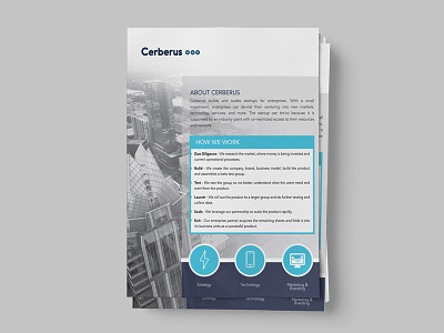 One Page Company Overview company overview one page one sheet print print design