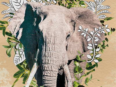 Elephant collage print africa animal botanical collage earth elephant leaves nature plants savannah