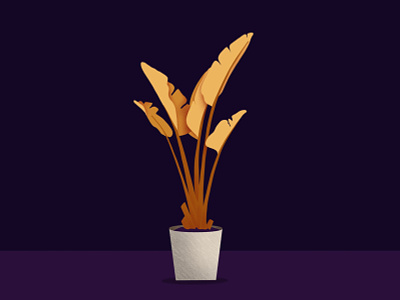 Plant digital art illustration plant procreate