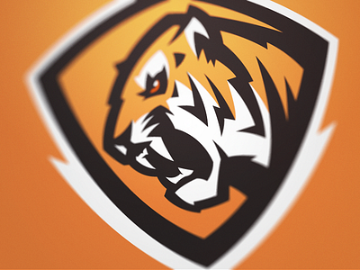 Tiger 2 by Fraser Davidson on Dribbble