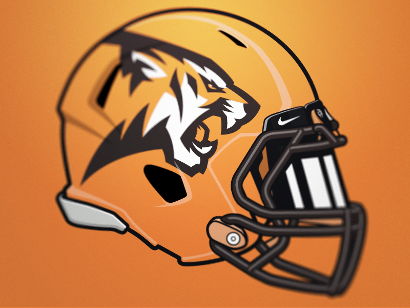 Tiger 4 by Fraser Davidson on Dribbble