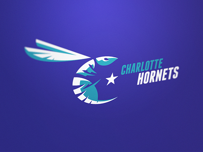Hornets basketball charlotte nba