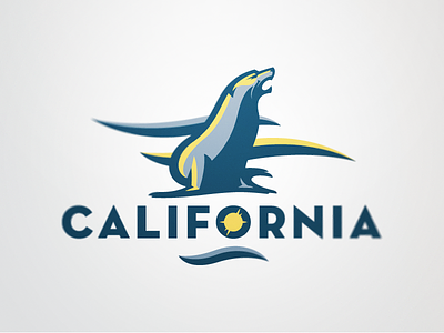California 2 california sea lion
