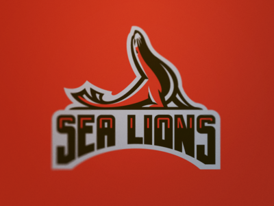 Bay Area Sea Lions