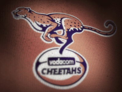 Super XV Cheetahs Logo Concept 15 cheetahs concept logo super xv