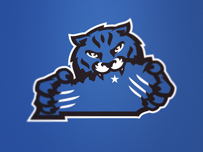 Big Blue Claws football kentucky sec usa today wildcats