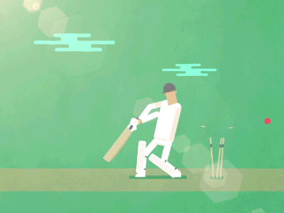 Bowled Out animated cricket gif sport