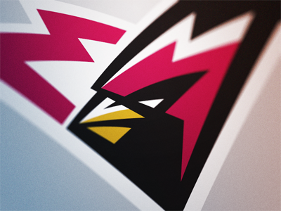 Cardinal Logo cardinal design logo presentation