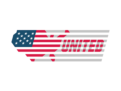 USA flag map usa