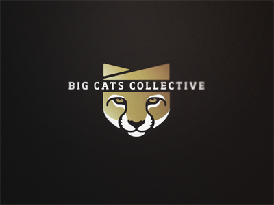 Big Cats Collective 2 big cats collective