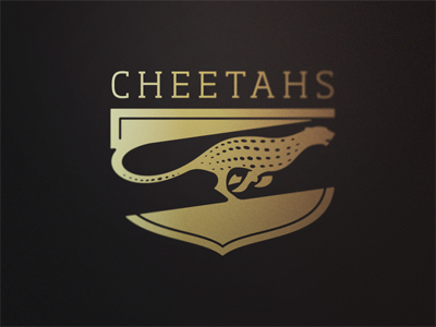 Cheetah Logo cheetah logo