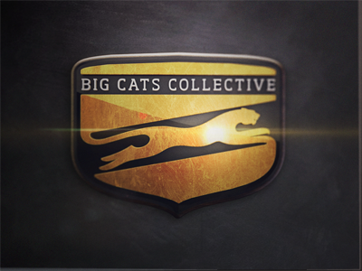 Big Cats Collective 3