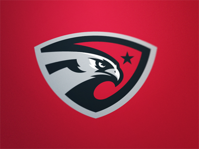 Eagle Logo eagle logo star usa