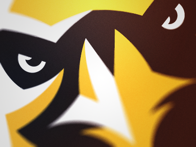 Eagle Detail eagle logo sport