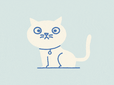 Cat test 2