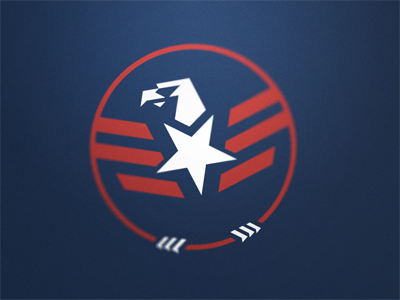 USA Eagle by Fraser Davidson on Dribbble