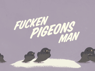 Fucken Pigeons animated gif pigeons