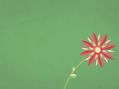 Beautiful Flower By Fraser Davidson For Cub Studio On Dribbble