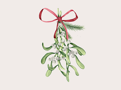 The Mistletoe christmas christmas illustration color colors design digital illustration illustration merry christmas mistletoe procreate winter xmas