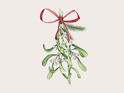 The Mistletoe