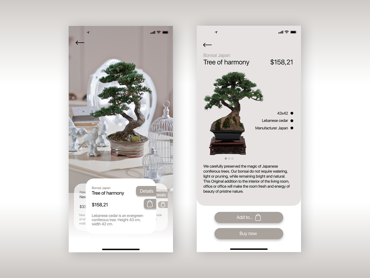 Bonsai Shop app by Ekaterina Eva on Dribbble