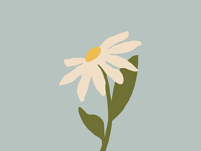Daisies make me happy daisy flower flower illustration illustration minimalism pastel color vector vector illustration