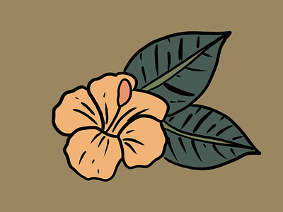 Tropical hibiscus