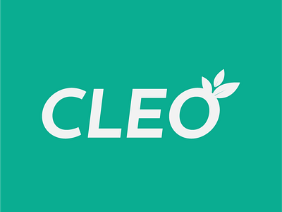 Cleo branding logo typography vector